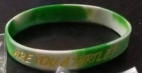 Are You A Turtle Wristband